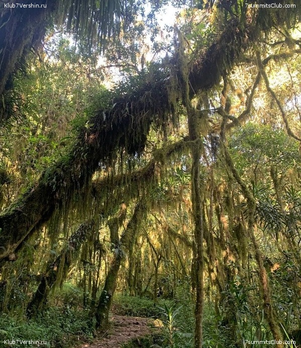 ������������. ������ 2021. ��������� ���������, ���� 52