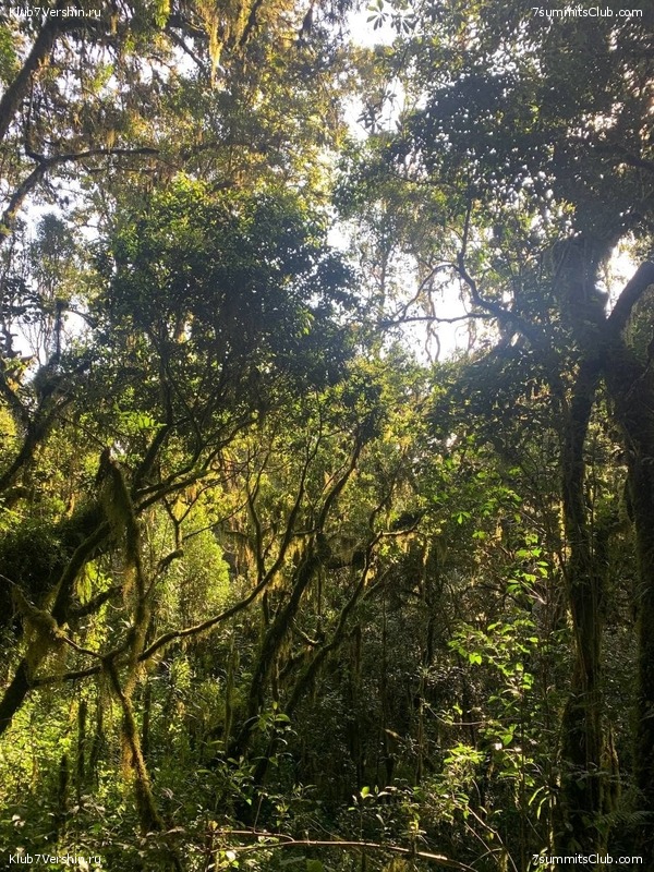 ������������. ������ 2021. ��������� ���������, ���� 63