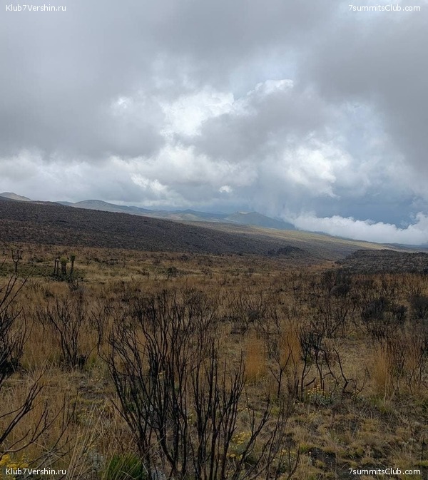 ������������. ������ 2021. ��������� ���������, ���� 51