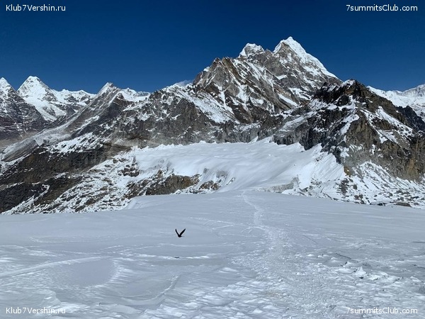 �����. ���� ���, ����� 2021 ����. ��� ���������, ���� 144