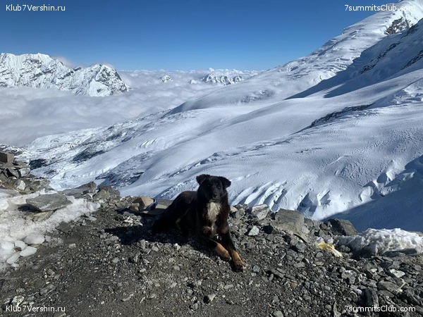 �����. ���� ���, ����� 2021 ����. ��� ���������, ���� 146