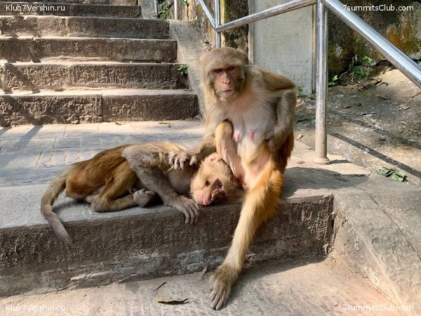 �����. ���� ���, ����� 2021 ����. ��� ���������, ���� 153