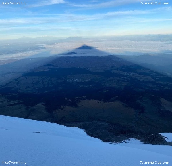 . .  2021.     ,  39