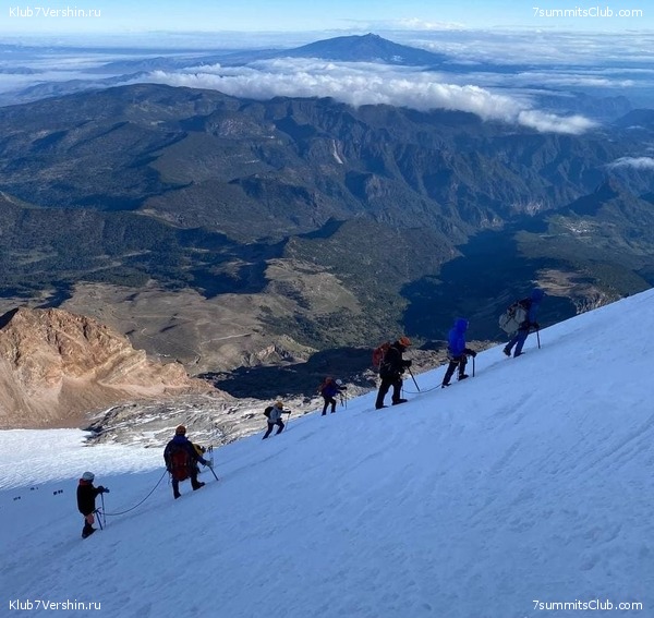 . .  2021.     ,  37