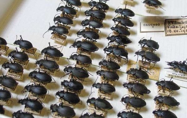 ������� ���������� �� �������. ���, ���� 43