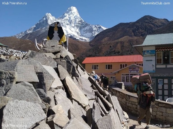 ����� 2021. ���� � ���-������. ������ �������, ���� 22