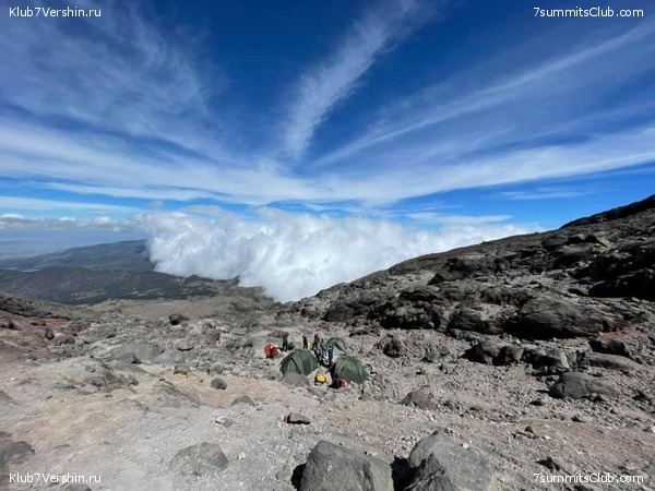 . .  2021.     ,  22