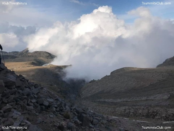 . .  2021.     ,  23