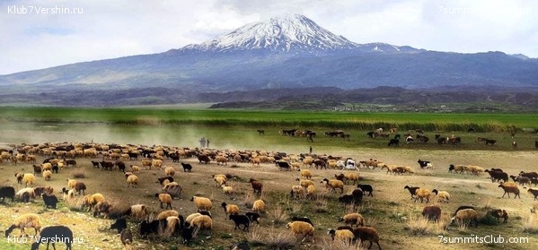 ������, ���� 4