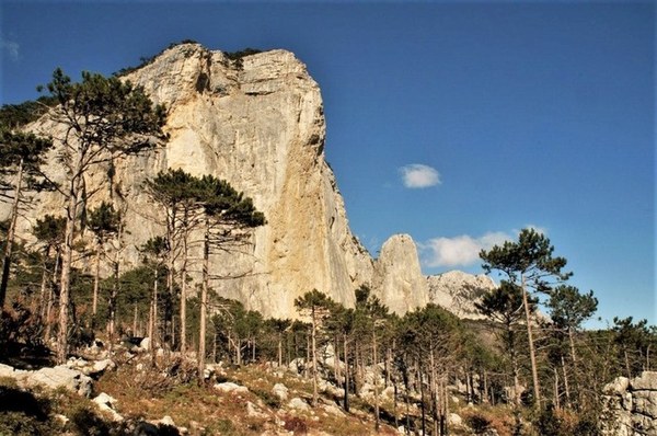 ��������, �������������� ��������, ���� 679