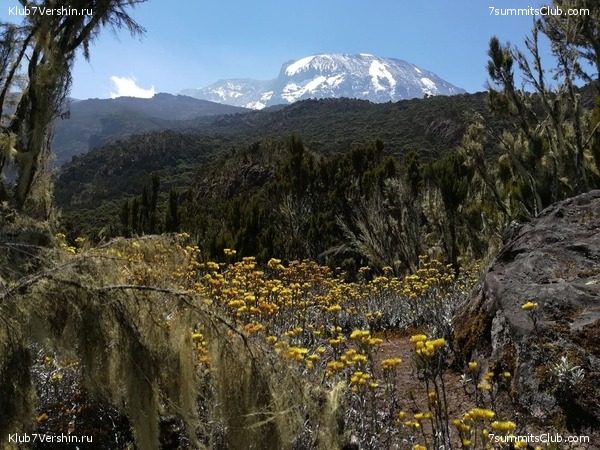 ������������. ������ 2021. ��������� ���������, ���� 26