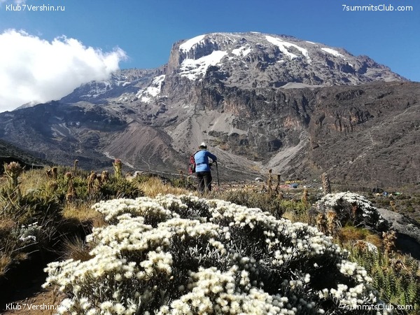 ������������. ������ 2021. ��������� ���������, ���� 28