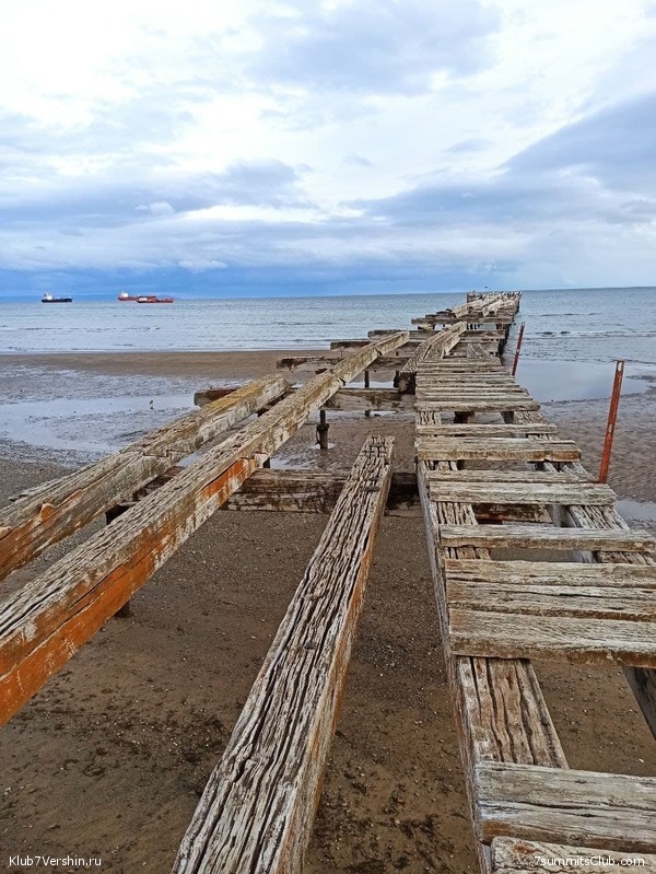 ����������. ������. 1-� ������ 2021-2022, ���� 24