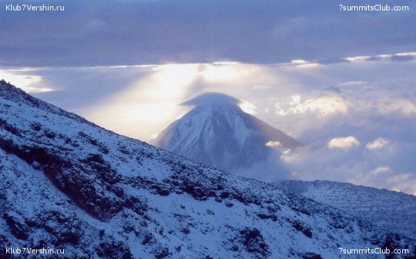 ������, ���� 31