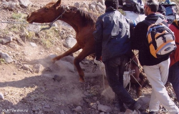 ������, ���� 38