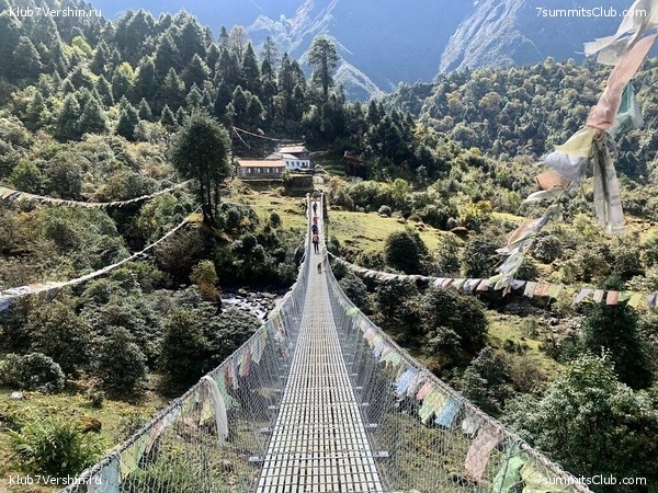 �����. ���� ���, ����� 2021 ����. ��� ���������, ���� 155