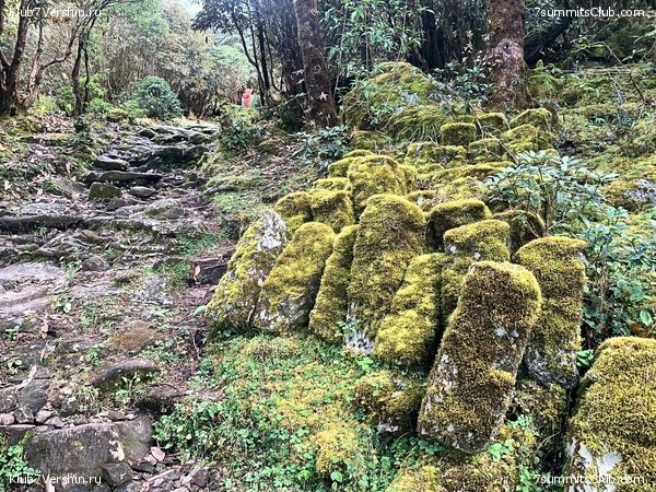 �����. ���� ���, ����� 2021 ����. ��� ���������, ���� 156