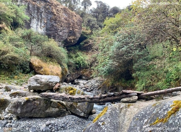 �����. ���� ���, ����� 2021 ����. ��� ���������, ���� 49