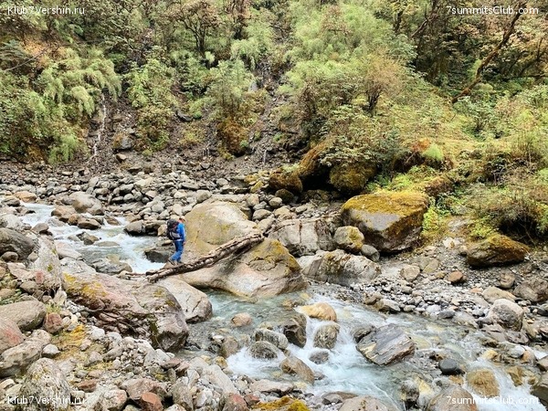 �����. ���� ���, ����� 2021 ����. ��� ���������, ���� 157