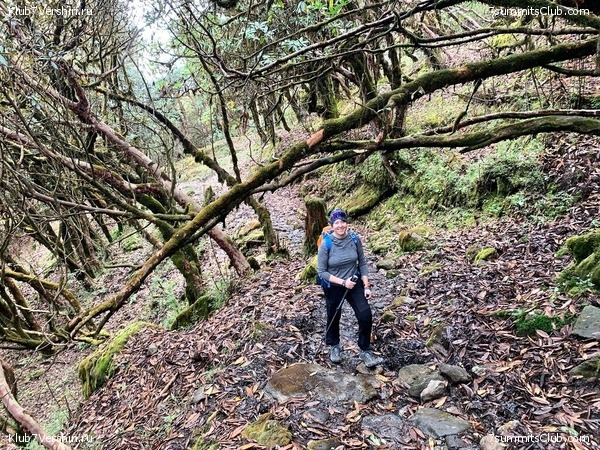 �����. ���� ���, ����� 2021 ����. ��� ���������, ���� 158