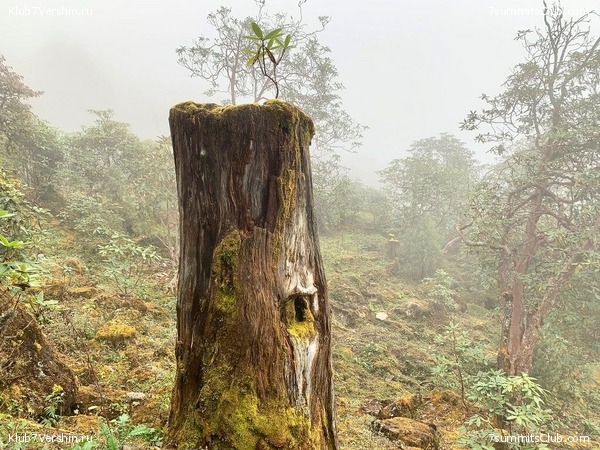 �����. ���� ���, ����� 2021 ����. ��� ���������, ���� 159