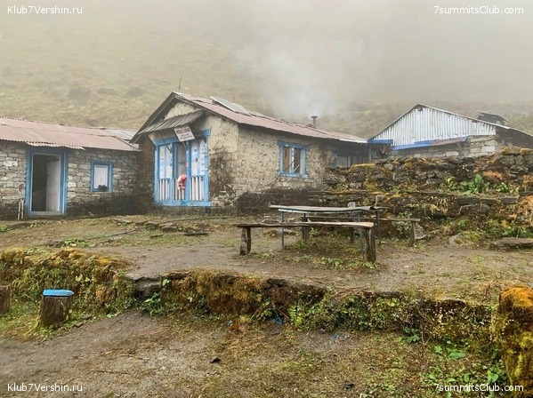 �����. ���� ���, ����� 2021 ����. ��� ���������, ���� 81