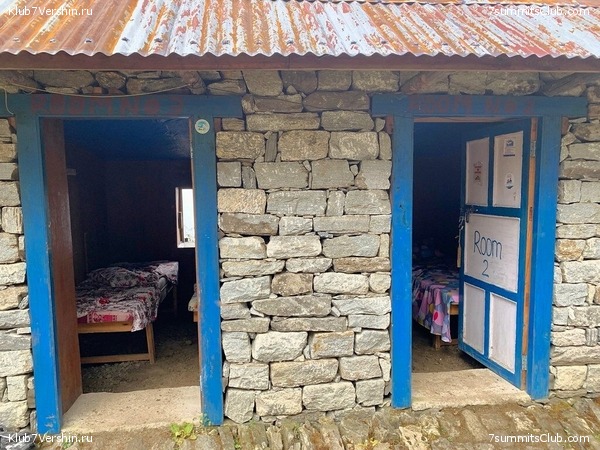 �����. ���� ���, ����� 2021 ����. ��� ���������, ���� 164