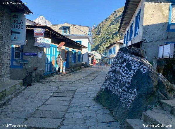 �����. ���� ���, ����� 2021 ����. ��� ���������, ���� 60