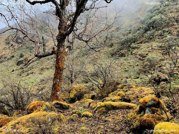 �����. ���� ���, ����� 2021 ����. ��� ���������, ���� 169