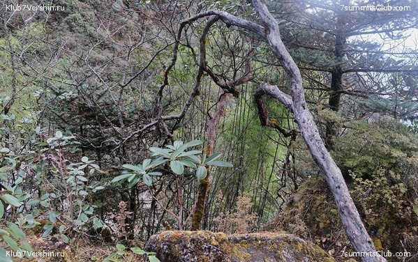 �����. ���� ���, ����� 2021 ����. ��� ���������, ���� 14