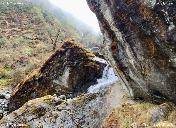 �����. ���� ���, ����� 2021 ����. ��� ���������, ���� 50