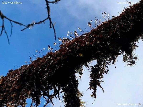 �����. ���� ���, ����� 2021 ����. ��� ���������, ���� 170