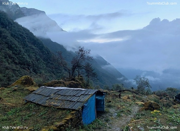 �����. ���� ���, ����� 2021 ����. ��� ���������, ���� 51