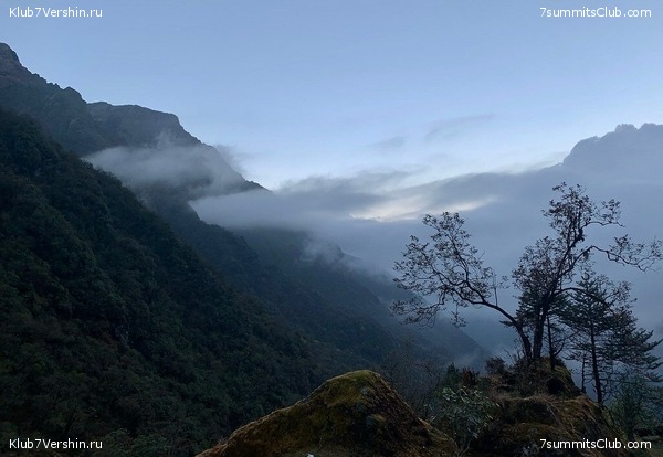 �����. ���� ���, ����� 2021 ����. ��� ���������, ���� 31