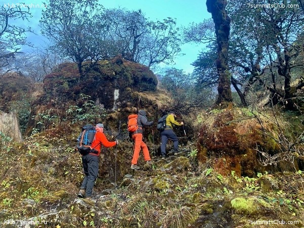 �����. ���� ���, ����� 2021 ����. ��� ���������, ���� 171