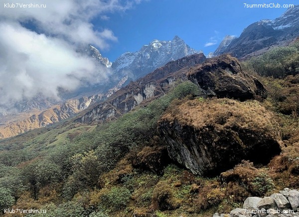 �����. ���� ���, ����� 2021 ����. ��� ���������, ���� 52