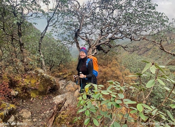 �����. ���� ���, ����� 2021 ����. ��� ���������, ���� 46