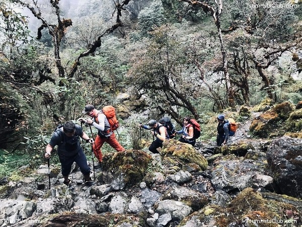 �����. ���� ���, ����� 2021 ����. ��� ���������, ���� 173