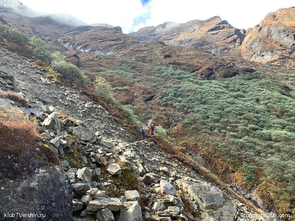 �����. ���� ���, ����� 2021 ����. ��� ���������, ���� 174