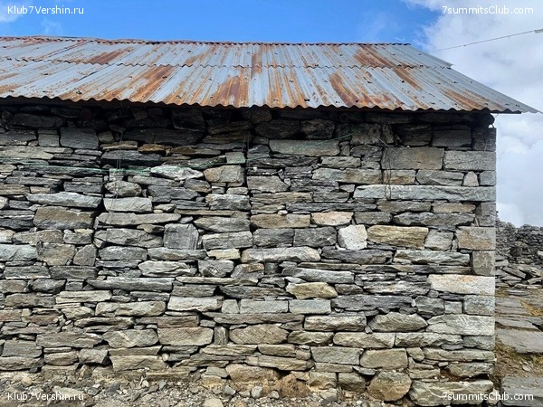 �����. ���� ���, ����� 2021 ����. ��� ���������, ���� 176