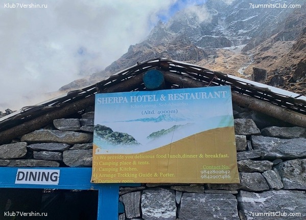 �����. ���� ���, ����� 2021 ����. ��� ���������, ���� 43