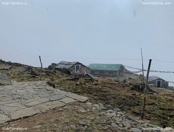 �����. ���� ���, ����� 2021 ����. ��� ���������, ���� 184