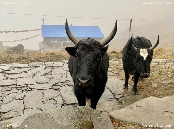 �����. ���� ���, ����� 2021 ����. ��� ���������, ���� 67