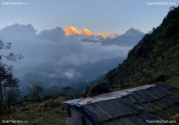 �����. ���� ���, ����� 2021 ����. ��� ���������, ���� 33