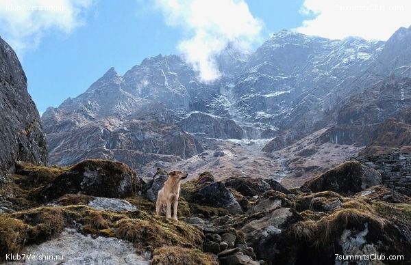 �����. ���� ���, ����� 2021 ����. ��� ���������, ���� 19