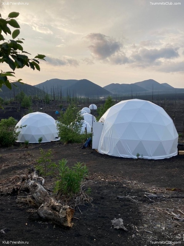 �������� ��������, ���� 31