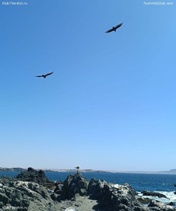 ���� ���� ������. ������� 2021 ����. ������ ������, ���� 40