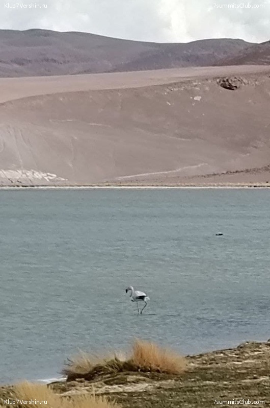 ���� ���� ������. ������� 2021 ����. ������ ������, ���� 55