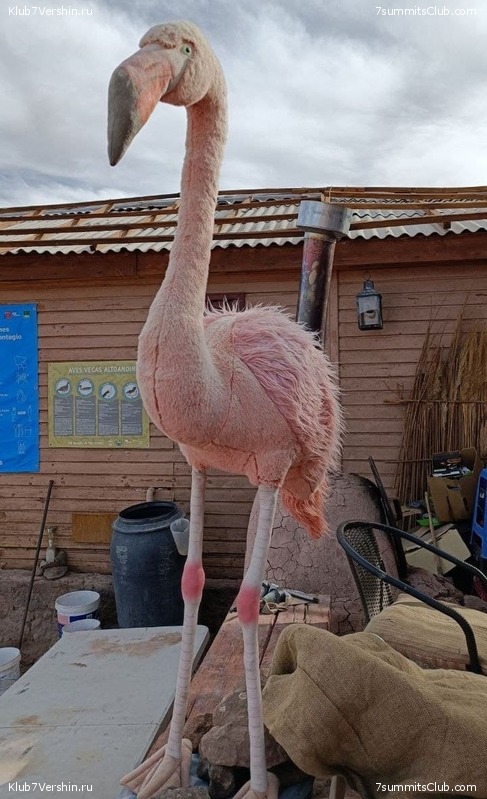 ���� ���� ������. ������� 2021 ����. ������ ������, ���� 58