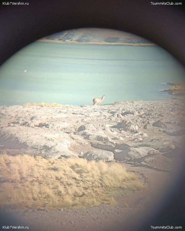 ���� ���� ������. ������� 2021 ����. ������ ������, ���� 43